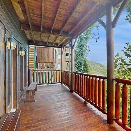Black Bear Overlook بيدجن فورج المظهر الخارجي الصورة